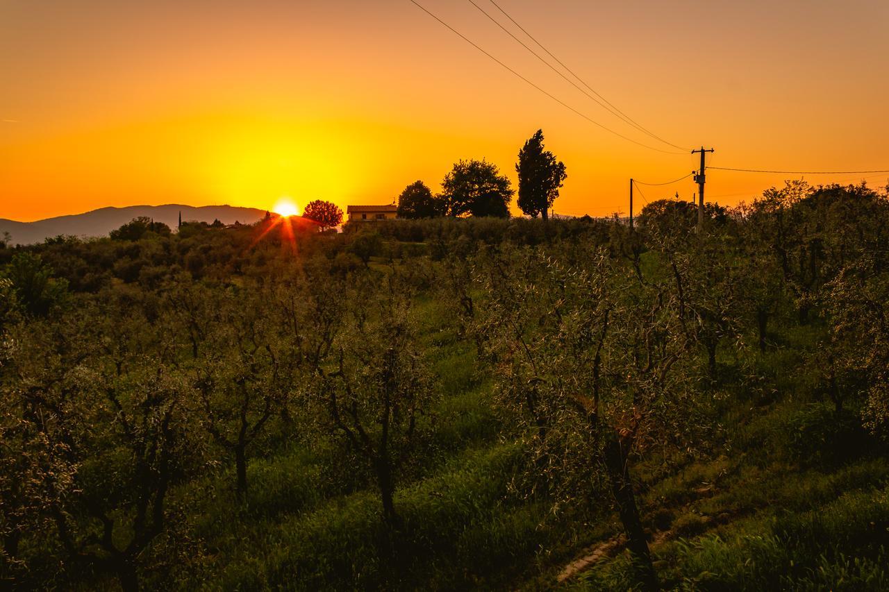 Agriturismo Bellosguardo 레겔로 외부 사진